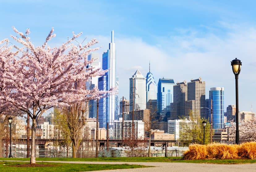 Commercial Activity License Services